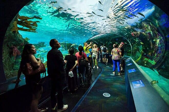 Ripley’s Aquarium of Canada