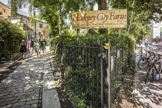 9. City farms  Best for feed goats and stroke soft things  Other than the odd squawk youd hardly know Londons urban...