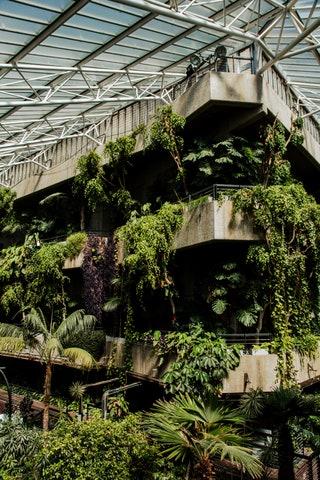 Barbican Conservatory